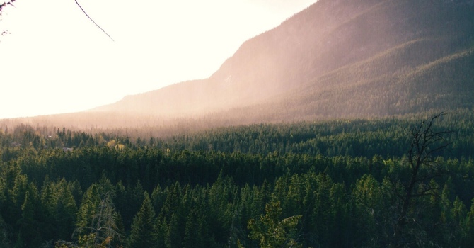 Diagnostic Musculoskeletal Ultrasound